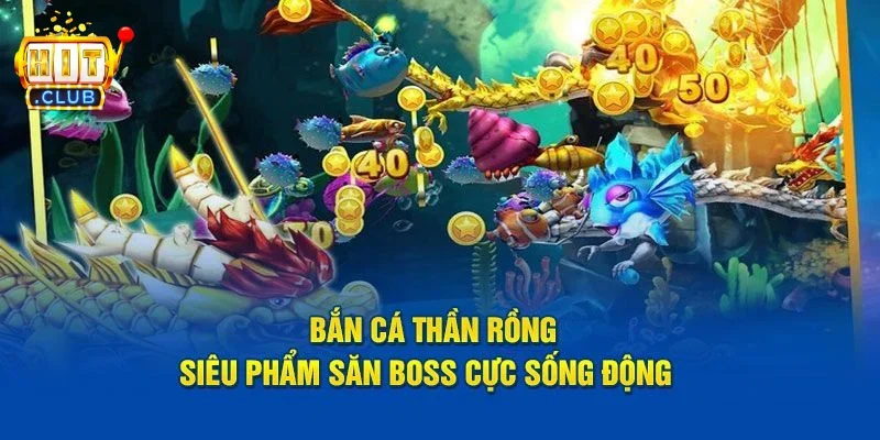 Bắn cá Rồng là gì?